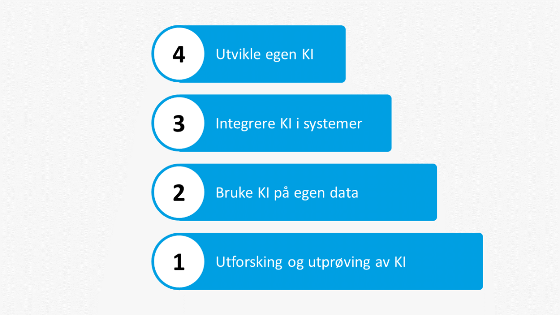 Bilde som viser en oversikt over bruksområder til KI 